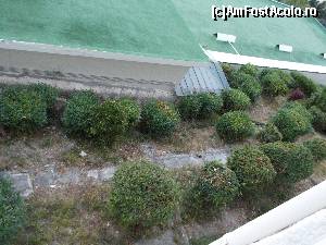 [P19] vedere in jos din camera » foto by A&C
 - 
<span class="allrVoted glyphicon glyphicon-heart hidden" id="av655140"></span>
<a class="m-l-10 hidden" id="sv655140" onclick="voting_Foto_DelVot(,655140,1198)" role="button">șterge vot <span class="glyphicon glyphicon-remove"></span></a>
<a id="v9655140" class=" c-red"  onclick="voting_Foto_SetVot(655140)" role="button"><span class="glyphicon glyphicon-heart-empty"></span> <b>LIKE</b> = Votează poza</a> <img class="hidden"  id="f655140W9" src="/imagini/loader.gif" border="0" /><span class="AjErrMes hidden" id="e655140ErM"></span>