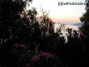 [P23] vegetatia langa scari » foto by A&C
 - 
<span class="allrVoted glyphicon glyphicon-heart hidden" id="av655145"></span>
<a class="m-l-10 hidden" id="sv655145" onclick="voting_Foto_DelVot(,655145,1198)" role="button">șterge vot <span class="glyphicon glyphicon-remove"></span></a>
<a id="v9655145" class=" c-red"  onclick="voting_Foto_SetVot(655145)" role="button"><span class="glyphicon glyphicon-heart-empty"></span> <b>LIKE</b> = Votează poza</a> <img class="hidden"  id="f655145W9" src="/imagini/loader.gif" border="0" /><span class="AjErrMes hidden" id="e655145ErM"></span>