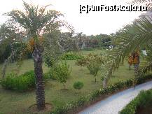 [P24] gradina din fata terasei ce dadea spre mare si aleea spre hotel » foto by blueray21
 - 
<span class="allrVoted glyphicon glyphicon-heart hidden" id="av141869"></span>
<a class="m-l-10 hidden" id="sv141869" onclick="voting_Foto_DelVot(,141869,1223)" role="button">șterge vot <span class="glyphicon glyphicon-remove"></span></a>
<a id="v9141869" class=" c-red"  onclick="voting_Foto_SetVot(141869)" role="button"><span class="glyphicon glyphicon-heart-empty"></span> <b>LIKE</b> = Votează poza</a> <img class="hidden"  id="f141869W9" src="/imagini/loader.gif" border="0" /><span class="AjErrMes hidden" id="e141869ErM"></span>