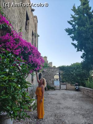 [P55] Rodos Town » foto by ioana74
 - 
<span class="allrVoted glyphicon glyphicon-heart hidden" id="av1541080"></span>
<a class="m-l-10 hidden" id="sv1541080" onclick="voting_Foto_DelVot(,1541080,1227)" role="button">șterge vot <span class="glyphicon glyphicon-remove"></span></a>
<a id="v91541080" class=" c-red"  onclick="voting_Foto_SetVot(1541080)" role="button"><span class="glyphicon glyphicon-heart-empty"></span> <b>LIKE</b> = Votează poza</a> <img class="hidden"  id="f1541080W9" src="/imagini/loader.gif" border="0" /><span class="AjErrMes hidden" id="e1541080ErM"></span>