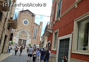 [P40] Basilica di Santa Anastasia » foto by Carmen Ion
 - 
<span class="allrVoted glyphicon glyphicon-heart hidden" id="av1547945"></span>
<a class="m-l-10 hidden" id="sv1547945" onclick="voting_Foto_DelVot(,1547945,1233)" role="button">șterge vot <span class="glyphicon glyphicon-remove"></span></a>
<a id="v91547945" class=" c-red"  onclick="voting_Foto_SetVot(1547945)" role="button"><span class="glyphicon glyphicon-heart-empty"></span> <b>LIKE</b> = Votează poza</a> <img class="hidden"  id="f1547945W9" src="/imagini/loader.gif" border="0" /><span class="AjErrMes hidden" id="e1547945ErM"></span>