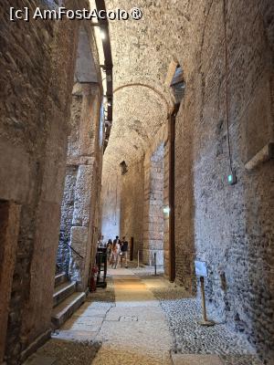 [P60] Arena Romană - galeriile » foto by Carmen Ion
 - 
<span class="allrVoted glyphicon glyphicon-heart hidden" id="av1547965"></span>
<a class="m-l-10 hidden" id="sv1547965" onclick="voting_Foto_DelVot(,1547965,1233)" role="button">șterge vot <span class="glyphicon glyphicon-remove"></span></a>
<a id="v91547965" class=" c-red"  onclick="voting_Foto_SetVot(1547965)" role="button"><span class="glyphicon glyphicon-heart-empty"></span> <b>LIKE</b> = Votează poza</a> <img class="hidden"  id="f1547965W9" src="/imagini/loader.gif" border="0" /><span class="AjErrMes hidden" id="e1547965ErM"></span>