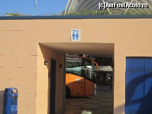 [P58]  -- <small>// FĂRĂ DESCRIERE</small> » foto by bica adriana
 - 
<span class="allrVoted glyphicon glyphicon-heart hidden" id="av572896"></span>
<a class="m-l-10 hidden" id="sv572896" onclick="voting_Foto_DelVot(,572896,1270)" role="button">șterge vot <span class="glyphicon glyphicon-remove"></span></a>
<a id="v9572896" class=" c-red"  onclick="voting_Foto_SetVot(572896)" role="button"><span class="glyphicon glyphicon-heart-empty"></span> <b>LIKE</b> = Votează poza</a> <img class="hidden"  id="f572896W9" src="/imagini/loader.gif" border="0" /><span class="AjErrMes hidden" id="e572896ErM"></span>