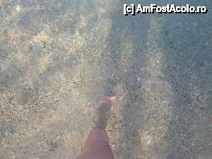 [P29] Marea - foarte limpede și curată » foto by Alina Roxana
 - 
<span class="allrVoted glyphicon glyphicon-heart hidden" id="av440443"></span>
<a class="m-l-10 hidden" id="sv440443" onclick="voting_Foto_DelVot(,440443,1270)" role="button">șterge vot <span class="glyphicon glyphicon-remove"></span></a>
<a id="v9440443" class=" c-red"  onclick="voting_Foto_SetVot(440443)" role="button"><span class="glyphicon glyphicon-heart-empty"></span> <b>LIKE</b> = Votează poza</a> <img class="hidden"  id="f440443W9" src="/imagini/loader.gif" border="0" /><span class="AjErrMes hidden" id="e440443ErM"></span>