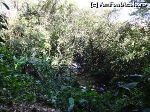 [P27] idem » foto by grecudoina
 - 
<span class="allrVoted glyphicon glyphicon-heart hidden" id="av604137"></span>
<a class="m-l-10 hidden" id="sv604137" onclick="voting_Foto_DelVot(,604137,1272)" role="button">șterge vot <span class="glyphicon glyphicon-remove"></span></a>
<a id="v9604137" class=" c-red"  onclick="voting_Foto_SetVot(604137)" role="button"><span class="glyphicon glyphicon-heart-empty"></span> <b>LIKE</b> = Votează poza</a> <img class="hidden"  id="f604137W9" src="/imagini/loader.gif" border="0" /><span class="AjErrMes hidden" id="e604137ErM"></span>