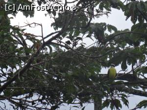 [P16] primul semnal ca intram in orasul La Fortuna. Aici e patria celor mai frumoase si colorate pasari din lume » foto by grecudoina
 - 
<span class="allrVoted glyphicon glyphicon-heart hidden" id="av787315"></span>
<a class="m-l-10 hidden" id="sv787315" onclick="voting_Foto_DelVot(,787315,1272)" role="button">șterge vot <span class="glyphicon glyphicon-remove"></span></a>
<a id="v9787315" class=" c-red"  onclick="voting_Foto_SetVot(787315)" role="button"><span class="glyphicon glyphicon-heart-empty"></span> <b>LIKE</b> = Votează poza</a> <img class="hidden"  id="f787315W9" src="/imagini/loader.gif" border="0" /><span class="AjErrMes hidden" id="e787315ErM"></span>