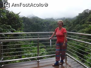 [P18] de aici incep treptele de coborare la cascada » foto by grecudoina
 - 
<span class="allrVoted glyphicon glyphicon-heart hidden" id="av803078"></span>
<a class="m-l-10 hidden" id="sv803078" onclick="voting_Foto_DelVot(,803078,1272)" role="button">șterge vot <span class="glyphicon glyphicon-remove"></span></a>
<a id="v9803078" class=" c-red"  onclick="voting_Foto_SetVot(803078)" role="button"><span class="glyphicon glyphicon-heart-empty"></span> <b>LIKE</b> = Votează poza</a> <img class="hidden"  id="f803078W9" src="/imagini/loader.gif" border="0" /><span class="AjErrMes hidden" id="e803078ErM"></span>