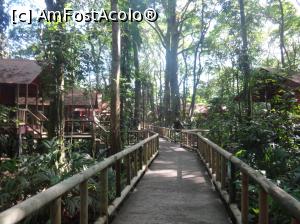 [P29] casute in resort » foto by grecudoina
 - 
<span class="allrVoted glyphicon glyphicon-heart hidden" id="av803272"></span>
<a class="m-l-10 hidden" id="sv803272" onclick="voting_Foto_DelVot(,803272,1272)" role="button">șterge vot <span class="glyphicon glyphicon-remove"></span></a>
<a id="v9803272" class=" c-red"  onclick="voting_Foto_SetVot(803272)" role="button"><span class="glyphicon glyphicon-heart-empty"></span> <b>LIKE</b> = Votează poza</a> <img class="hidden"  id="f803272W9" src="/imagini/loader.gif" border="0" /><span class="AjErrMes hidden" id="e803272ErM"></span>