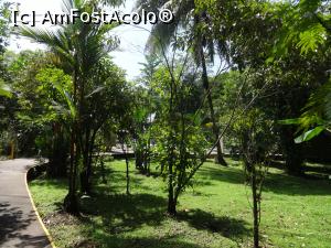 [P32] la plimbare prin resort » foto by grecudoina
 - 
<span class="allrVoted glyphicon glyphicon-heart hidden" id="av803275"></span>
<a class="m-l-10 hidden" id="sv803275" onclick="voting_Foto_DelVot(,803275,1272)" role="button">șterge vot <span class="glyphicon glyphicon-remove"></span></a>
<a id="v9803275" class=" c-red"  onclick="voting_Foto_SetVot(803275)" role="button"><span class="glyphicon glyphicon-heart-empty"></span> <b>LIKE</b> = Votează poza</a> <img class="hidden"  id="f803275W9" src="/imagini/loader.gif" border="0" /><span class="AjErrMes hidden" id="e803275ErM"></span>