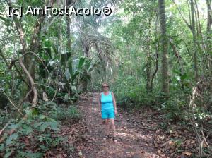 [P35] la plimbare prin parcul satului, portiune din PN-Tortuguero » foto by grecudoina
 - 
<span class="allrVoted glyphicon glyphicon-heart hidden" id="av803658"></span>
<a class="m-l-10 hidden" id="sv803658" onclick="voting_Foto_DelVot(,803658,1272)" role="button">șterge vot <span class="glyphicon glyphicon-remove"></span></a>
<a id="v9803658" class=" c-red"  onclick="voting_Foto_SetVot(803658)" role="button"><span class="glyphicon glyphicon-heart-empty"></span> <b>LIKE</b> = Votează poza</a> <img class="hidden"  id="f803658W9" src="/imagini/loader.gif" border="0" /><span class="AjErrMes hidden" id="e803658ErM"></span>