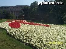 [P04]  -- <small>// FĂRĂ DESCRIERE</small> » foto by alinaro
 - 
<span class="allrVoted glyphicon glyphicon-heart hidden" id="av285870"></span>
<a class="m-l-10 hidden" id="sv285870" onclick="voting_Foto_DelVot(,285870,1275)" role="button">șterge vot <span class="glyphicon glyphicon-remove"></span></a>
<a id="v9285870" class=" c-red"  onclick="voting_Foto_SetVot(285870)" role="button"><span class="glyphicon glyphicon-heart-empty"></span> <b>LIKE</b> = Votează poza</a> <img class="hidden"  id="f285870W9" src="/imagini/loader.gif" border="0" /><span class="AjErrMes hidden" id="e285870ErM"></span>