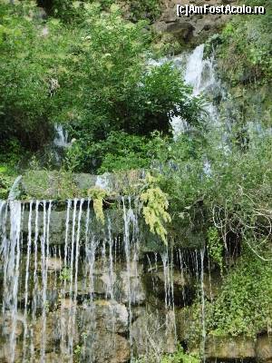 [P14] Cascada pe dealul Gelert » foto by IULIU ANTAL
 - 
<span class="allrVoted glyphicon glyphicon-heart hidden" id="av581304"></span>
<a class="m-l-10 hidden" id="sv581304" onclick="voting_Foto_DelVot(,581304,1275)" role="button">șterge vot <span class="glyphicon glyphicon-remove"></span></a>
<a id="v9581304" class=" c-red"  onclick="voting_Foto_SetVot(581304)" role="button"><span class="glyphicon glyphicon-heart-empty"></span> <b>LIKE</b> = Votează poza</a> <img class="hidden"  id="f581304W9" src="/imagini/loader.gif" border="0" /><span class="AjErrMes hidden" id="e581304ErM"></span>