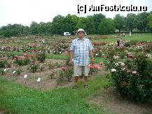 [P08] Langa compelxul coemrcial unde e si Tropicarium Oceanarium este aceasta imensa pepinarie/gradinarie de tranadfiri, se si pot cumpara butasi » foto by skippy
 - 
<span class="allrVoted glyphicon glyphicon-heart hidden" id="av241061"></span>
<a class="m-l-10 hidden" id="sv241061" onclick="voting_Foto_DelVot(,241061,1275)" role="button">șterge vot <span class="glyphicon glyphicon-remove"></span></a>
<a id="v9241061" class=" c-red"  onclick="voting_Foto_SetVot(241061)" role="button"><span class="glyphicon glyphicon-heart-empty"></span> <b>LIKE</b> = Votează poza</a> <img class="hidden"  id="f241061W9" src="/imagini/loader.gif" border="0" /><span class="AjErrMes hidden" id="e241061ErM"></span>