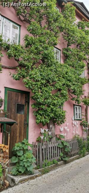 [P12] Hallstatt - Aranjamente » foto by mishu
 - 
<span class="allrVoted glyphicon glyphicon-heart hidden" id="av1167894"></span>
<a class="m-l-10 hidden" id="sv1167894" onclick="voting_Foto_DelVot(,1167894,1383)" role="button">șterge vot <span class="glyphicon glyphicon-remove"></span></a>
<a id="v91167894" class=" c-red"  onclick="voting_Foto_SetVot(1167894)" role="button"><span class="glyphicon glyphicon-heart-empty"></span> <b>LIKE</b> = Votează poza</a> <img class="hidden"  id="f1167894W9" src="/imagini/loader.gif" border="0" /><span class="AjErrMes hidden" id="e1167894ErM"></span>