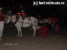 [P32] trăsura trasă de un cal alb poate fi relaxarea de seară în Nei Pori » foto by mirelopodu*
 - 
<span class="allrVoted glyphicon glyphicon-heart hidden" id="av34199"></span>
<a class="m-l-10 hidden" id="sv34199" onclick="voting_Foto_DelVot(,34199,1428)" role="button">șterge vot <span class="glyphicon glyphicon-remove"></span></a>
<a id="v934199" class=" c-red"  onclick="voting_Foto_SetVot(34199)" role="button"><span class="glyphicon glyphicon-heart-empty"></span> <b>LIKE</b> = Votează poza</a> <img class="hidden"  id="f34199W9" src="/imagini/loader.gif" border="0" /><span class="AjErrMes hidden" id="e34199ErM"></span>