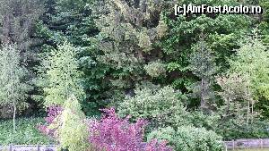 [P02] Vedere din balcon » foto by FlorinMr
 - 
<span class="allrVoted glyphicon glyphicon-heart hidden" id="av623443"></span>
<a class="m-l-10 hidden" id="sv623443" onclick="voting_Foto_DelVot(,623443,1555)" role="button">șterge vot <span class="glyphicon glyphicon-remove"></span></a>
<a id="v9623443" class=" c-red"  onclick="voting_Foto_SetVot(623443)" role="button"><span class="glyphicon glyphicon-heart-empty"></span> <b>LIKE</b> = Votează poza</a> <img class="hidden"  id="f623443W9" src="/imagini/loader.gif" border="0" /><span class="AjErrMes hidden" id="e623443ErM"></span>
