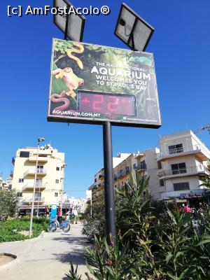 [P13] In autogara din Bugibba.  » foto by Nicu
 - 
<span class="allrVoted glyphicon glyphicon-heart hidden" id="av1154766"></span>
<a class="m-l-10 hidden" id="sv1154766" onclick="voting_Foto_DelVot(,1154766,1560)" role="button">șterge vot <span class="glyphicon glyphicon-remove"></span></a>
<a id="v91154766" class=" c-red"  onclick="voting_Foto_SetVot(1154766)" role="button"><span class="glyphicon glyphicon-heart-empty"></span> <b>LIKE</b> = Votează poza</a> <img class="hidden"  id="f1154766W9" src="/imagini/loader.gif" border="0" /><span class="AjErrMes hidden" id="e1154766ErM"></span>