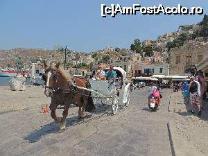 [P16] Cu caleasca prin Symi » foto by claudiu 71
 - 
<span class="allrVoted glyphicon glyphicon-heart hidden" id="av694030"></span>
<a class="m-l-10 hidden" id="sv694030" onclick="voting_Foto_DelVot(,694030,1588)" role="button">șterge vot <span class="glyphicon glyphicon-remove"></span></a>
<a id="v9694030" class=" c-red"  onclick="voting_Foto_SetVot(694030)" role="button"><span class="glyphicon glyphicon-heart-empty"></span> <b>LIKE</b> = Votează poza</a> <img class="hidden"  id="f694030W9" src="/imagini/loader.gif" border="0" /><span class="AjErrMes hidden" id="e694030ErM"></span>