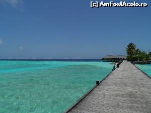 [P11] pontonul cu restaurantul a la carte Al Pontile » foto by barbu minel
 - 
<span class="allrVoted glyphicon glyphicon-heart hidden" id="av519052"></span>
<a class="m-l-10 hidden" id="sv519052" onclick="voting_Foto_DelVot(,519052,1589)" role="button">șterge vot <span class="glyphicon glyphicon-remove"></span></a>
<a id="v9519052" class=" c-red"  onclick="voting_Foto_SetVot(519052)" role="button"><span class="glyphicon glyphicon-heart-empty"></span> <b>LIKE</b> = Votează poza</a> <img class="hidden"  id="f519052W9" src="/imagini/loader.gif" border="0" /><span class="AjErrMes hidden" id="e519052ErM"></span>