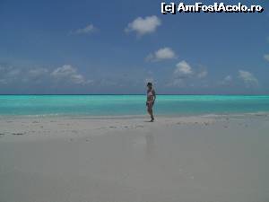 [P16] nuanţe de alb-albastru » foto by barbu minel
 - 
<span class="allrVoted glyphicon glyphicon-heart hidden" id="av519057"></span>
<a class="m-l-10 hidden" id="sv519057" onclick="voting_Foto_DelVot(,519057,1589)" role="button">șterge vot <span class="glyphicon glyphicon-remove"></span></a>
<a id="v9519057" class=" c-red"  onclick="voting_Foto_SetVot(519057)" role="button"><span class="glyphicon glyphicon-heart-empty"></span> <b>LIKE</b> = Votează poza</a> <img class="hidden"  id="f519057W9" src="/imagini/loader.gif" border="0" /><span class="AjErrMes hidden" id="e519057ErM"></span>