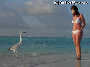 [P17] o foarte bună prietenă » foto by barbu minel
 - 
<span class="allrVoted glyphicon glyphicon-heart hidden" id="av519058"></span>
<a class="m-l-10 hidden" id="sv519058" onclick="voting_Foto_DelVot(,519058,1589)" role="button">șterge vot <span class="glyphicon glyphicon-remove"></span></a>
<a id="v9519058" class=" c-red"  onclick="voting_Foto_SetVot(519058)" role="button"><span class="glyphicon glyphicon-heart-empty"></span> <b>LIKE</b> = Votează poza</a> <img class="hidden"  id="f519058W9" src="/imagini/loader.gif" border="0" /><span class="AjErrMes hidden" id="e519058ErM"></span>