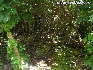 [P19] natura virgină » foto by barbu minel
 - 
<span class="allrVoted glyphicon glyphicon-heart hidden" id="av519060"></span>
<a class="m-l-10 hidden" id="sv519060" onclick="voting_Foto_DelVot(,519060,1589)" role="button">șterge vot <span class="glyphicon glyphicon-remove"></span></a>
<a id="v9519060" class=" c-red"  onclick="voting_Foto_SetVot(519060)" role="button"><span class="glyphicon glyphicon-heart-empty"></span> <b>LIKE</b> = Votează poza</a> <img class="hidden"  id="f519060W9" src="/imagini/loader.gif" border="0" /><span class="AjErrMes hidden" id="e519060ErM"></span>