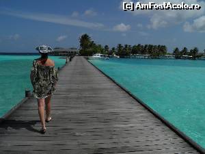 [P02] pontonul ce leagă mini-portul cu insula » foto by barbu minel
 - 
<span class="allrVoted glyphicon glyphicon-heart hidden" id="av519043"></span>
<a class="m-l-10 hidden" id="sv519043" onclick="voting_Foto_DelVot(,519043,1589)" role="button">șterge vot <span class="glyphicon glyphicon-remove"></span></a>
<a id="v9519043" class=" c-red"  onclick="voting_Foto_SetVot(519043)" role="button"><span class="glyphicon glyphicon-heart-empty"></span> <b>LIKE</b> = Votează poza</a> <img class="hidden"  id="f519043W9" src="/imagini/loader.gif" border="0" /><span class="AjErrMes hidden" id="e519043ErM"></span>