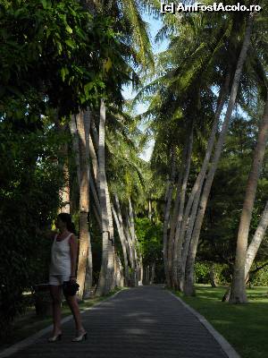 [P20] alee în zona amenajată, unde se afla şi terenul de golf » foto by barbu minel
 - 
<span class="allrVoted glyphicon glyphicon-heart hidden" id="av519061"></span>
<a class="m-l-10 hidden" id="sv519061" onclick="voting_Foto_DelVot(,519061,1589)" role="button">șterge vot <span class="glyphicon glyphicon-remove"></span></a>
<a id="v9519061" class=" c-red"  onclick="voting_Foto_SetVot(519061)" role="button"><span class="glyphicon glyphicon-heart-empty"></span> <b>LIKE</b> = Votează poza</a> <img class="hidden"  id="f519061W9" src="/imagini/loader.gif" border="0" /><span class="AjErrMes hidden" id="e519061ErM"></span>