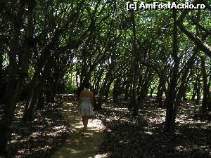 [P22] la plimbare prin pădure » foto by barbu minel
 - 
<span class="allrVoted glyphicon glyphicon-heart hidden" id="av519063"></span>
<a class="m-l-10 hidden" id="sv519063" onclick="voting_Foto_DelVot(,519063,1589)" role="button">șterge vot <span class="glyphicon glyphicon-remove"></span></a>
<a id="v9519063" class=" c-red"  onclick="voting_Foto_SetVot(519063)" role="button"><span class="glyphicon glyphicon-heart-empty"></span> <b>LIKE</b> = Votează poza</a> <img class="hidden"  id="f519063W9" src="/imagini/loader.gif" border="0" /><span class="AjErrMes hidden" id="e519063ErM"></span>