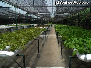 [P24] ... prin sere » foto by barbu minel
 - 
<span class="allrVoted glyphicon glyphicon-heart hidden" id="av519065"></span>
<a class="m-l-10 hidden" id="sv519065" onclick="voting_Foto_DelVot(,519065,1589)" role="button">șterge vot <span class="glyphicon glyphicon-remove"></span></a>
<a id="v9519065" class=" c-red"  onclick="voting_Foto_SetVot(519065)" role="button"><span class="glyphicon glyphicon-heart-empty"></span> <b>LIKE</b> = Votează poza</a> <img class="hidden"  id="f519065W9" src="/imagini/loader.gif" border="0" /><span class="AjErrMes hidden" id="e519065ErM"></span>