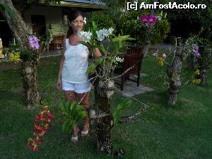 [P26] minunatele orhidee » foto by barbu minel
 - 
<span class="allrVoted glyphicon glyphicon-heart hidden" id="av519067"></span>
<a class="m-l-10 hidden" id="sv519067" onclick="voting_Foto_DelVot(,519067,1589)" role="button">șterge vot <span class="glyphicon glyphicon-remove"></span></a>
<a id="v9519067" class=" c-red"  onclick="voting_Foto_SetVot(519067)" role="button"><span class="glyphicon glyphicon-heart-empty"></span> <b>LIKE</b> = Votează poza</a> <img class="hidden"  id="f519067W9" src="/imagini/loader.gif" border="0" /><span class="AjErrMes hidden" id="e519067ErM"></span>