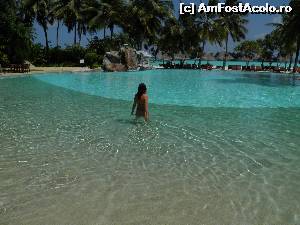 [P28] piscina » foto by barbu minel
 - 
<span class="allrVoted glyphicon glyphicon-heart hidden" id="av519069"></span>
<a class="m-l-10 hidden" id="sv519069" onclick="voting_Foto_DelVot(,519069,1589)" role="button">șterge vot <span class="glyphicon glyphicon-remove"></span></a>
<a id="v9519069" class=" c-red"  onclick="voting_Foto_SetVot(519069)" role="button"><span class="glyphicon glyphicon-heart-empty"></span> <b>LIKE</b> = Votează poza</a> <img class="hidden"  id="f519069W9" src="/imagini/loader.gif" border="0" /><span class="AjErrMes hidden" id="e519069ErM"></span>