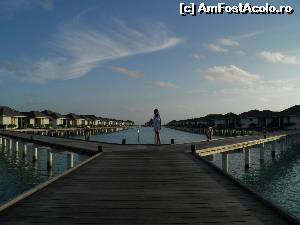 [P33] water bungalows cu restaurantul a la carte Thai » foto by barbu minel
 - 
<span class="allrVoted glyphicon glyphicon-heart hidden" id="av519074"></span>
<a class="m-l-10 hidden" id="sv519074" onclick="voting_Foto_DelVot(,519074,1589)" role="button">șterge vot <span class="glyphicon glyphicon-remove"></span></a>
<a id="v9519074" class=" c-red"  onclick="voting_Foto_SetVot(519074)" role="button"><span class="glyphicon glyphicon-heart-empty"></span> <b>LIKE</b> = Votează poza</a> <img class="hidden"  id="f519074W9" src="/imagini/loader.gif" border="0" /><span class="AjErrMes hidden" id="e519074ErM"></span>