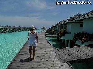 [P34] water bungalows şi în centru restaurantul Thai » foto by barbu minel
 - 
<span class="allrVoted glyphicon glyphicon-heart hidden" id="av519075"></span>
<a class="m-l-10 hidden" id="sv519075" onclick="voting_Foto_DelVot(,519075,1589)" role="button">șterge vot <span class="glyphicon glyphicon-remove"></span></a>
<a id="v9519075" class=" c-red"  onclick="voting_Foto_SetVot(519075)" role="button"><span class="glyphicon glyphicon-heart-empty"></span> <b>LIKE</b> = Votează poza</a> <img class="hidden"  id="f519075W9" src="/imagini/loader.gif" border="0" /><span class="AjErrMes hidden" id="e519075ErM"></span>