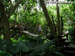 [P36] zero plus... bar în natură » foto by barbu minel
 - 
<span class="allrVoted glyphicon glyphicon-heart hidden" id="av519077"></span>
<a class="m-l-10 hidden" id="sv519077" onclick="voting_Foto_DelVot(,519077,1589)" role="button">șterge vot <span class="glyphicon glyphicon-remove"></span></a>
<a id="v9519077" class=" c-red"  onclick="voting_Foto_SetVot(519077)" role="button"><span class="glyphicon glyphicon-heart-empty"></span> <b>LIKE</b> = Votează poza</a> <img class="hidden"  id="f519077W9" src="/imagini/loader.gif" border="0" /><span class="AjErrMes hidden" id="e519077ErM"></span>