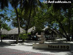 [P37] Guraamuli bar » foto by barbu minel
 - 
<span class="allrVoted glyphicon glyphicon-heart hidden" id="av519078"></span>
<a class="m-l-10 hidden" id="sv519078" onclick="voting_Foto_DelVot(,519078,1589)" role="button">șterge vot <span class="glyphicon glyphicon-remove"></span></a>
<a id="v9519078" class=" c-red"  onclick="voting_Foto_SetVot(519078)" role="button"><span class="glyphicon glyphicon-heart-empty"></span> <b>LIKE</b> = Votează poza</a> <img class="hidden"  id="f519078W9" src="/imagini/loader.gif" border="0" /><span class="AjErrMes hidden" id="e519078ErM"></span>