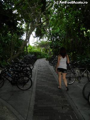 [P40] cum vă spuneam, un mod de viaţă » foto by barbu minel
 - 
<span class="allrVoted glyphicon glyphicon-heart hidden" id="av519081"></span>
<a class="m-l-10 hidden" id="sv519081" onclick="voting_Foto_DelVot(,519081,1589)" role="button">șterge vot <span class="glyphicon glyphicon-remove"></span></a>
<a id="v9519081" class=" c-red"  onclick="voting_Foto_SetVot(519081)" role="button"><span class="glyphicon glyphicon-heart-empty"></span> <b>LIKE</b> = Votează poza</a> <img class="hidden"  id="f519081W9" src="/imagini/loader.gif" border="0" /><span class="AjErrMes hidden" id="e519081ErM"></span>