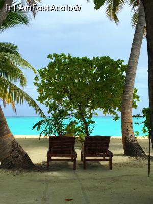 [P02]  ,,balconul' nostru » foto by Hayky
 - 
<span class="allrVoted glyphicon glyphicon-heart hidden" id="av823837"></span>
<a class="m-l-10 hidden" id="sv823837" onclick="voting_Foto_DelVot(,823837,1589)" role="button">șterge vot <span class="glyphicon glyphicon-remove"></span></a>
<a id="v9823837" class=" c-red"  onclick="voting_Foto_SetVot(823837)" role="button"><span class="glyphicon glyphicon-heart-empty"></span> <b>LIKE</b> = Votează poza</a> <img class="hidden"  id="f823837W9" src="/imagini/loader.gif" border="0" /><span class="AjErrMes hidden" id="e823837ErM"></span>