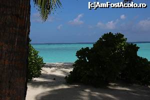 [P01]  -- <small>// FĂRĂ DESCRIERE</small> » foto by atimespeed
 - 
<span class="allrVoted glyphicon glyphicon-heart hidden" id="av702357"></span>
<a class="m-l-10 hidden" id="sv702357" onclick="voting_Foto_DelVot(,702357,1589)" role="button">șterge vot <span class="glyphicon glyphicon-remove"></span></a>
<a id="v9702357" class=" c-red"  onclick="voting_Foto_SetVot(702357)" role="button"><span class="glyphicon glyphicon-heart-empty"></span> <b>LIKE</b> = Votează poza</a> <img class="hidden"  id="f702357W9" src="/imagini/loader.gif" border="0" /><span class="AjErrMes hidden" id="e702357ErM"></span>