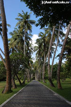 [P13] toate aleele erau pavate » foto by atimespeed
 - 
<span class="allrVoted glyphicon glyphicon-heart hidden" id="av702373"></span>
<a class="m-l-10 hidden" id="sv702373" onclick="voting_Foto_DelVot(,702373,1589)" role="button">șterge vot <span class="glyphicon glyphicon-remove"></span></a>
<a id="v9702373" class=" c-red"  onclick="voting_Foto_SetVot(702373)" role="button"><span class="glyphicon glyphicon-heart-empty"></span> <b>LIKE</b> = Votează poza</a> <img class="hidden"  id="f702373W9" src="/imagini/loader.gif" border="0" /><span class="AjErrMes hidden" id="e702373ErM"></span>