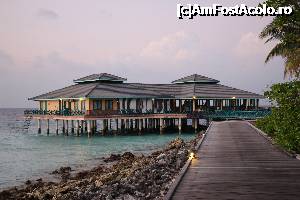 [P14] restaurantul italian » foto by atimespeed
 - 
<span class="allrVoted glyphicon glyphicon-heart hidden" id="av702377"></span>
<a class="m-l-10 hidden" id="sv702377" onclick="voting_Foto_DelVot(,702377,1589)" role="button">șterge vot <span class="glyphicon glyphicon-remove"></span></a>
<a id="v9702377" class=" c-red"  onclick="voting_Foto_SetVot(702377)" role="button"><span class="glyphicon glyphicon-heart-empty"></span> <b>LIKE</b> = Votează poza</a> <img class="hidden"  id="f702377W9" src="/imagini/loader.gif" border="0" /><span class="AjErrMes hidden" id="e702377ErM"></span>