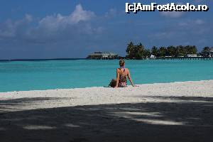 [P02]  -- <small>// FĂRĂ DESCRIERE</small> » foto by atimespeed
 - 
<span class="allrVoted glyphicon glyphicon-heart hidden" id="av702359"></span>
<a class="m-l-10 hidden" id="sv702359" onclick="voting_Foto_DelVot(,702359,1589)" role="button">șterge vot <span class="glyphicon glyphicon-remove"></span></a>
<a id="v9702359" class=" c-red"  onclick="voting_Foto_SetVot(702359)" role="button"><span class="glyphicon glyphicon-heart-empty"></span> <b>LIKE</b> = Votează poza</a> <img class="hidden"  id="f702359W9" src="/imagini/loader.gif" border="0" /><span class="AjErrMes hidden" id="e702359ErM"></span>