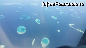 [P25] Vedere din avionul nr 3. E un vis » foto by atimespeed
 - 
<span class="allrVoted glyphicon glyphicon-heart hidden" id="av702733"></span>
<a class="m-l-10 hidden" id="sv702733" onclick="voting_Foto_DelVot(,702733,1589)" role="button">șterge vot <span class="glyphicon glyphicon-remove"></span></a>
<a id="v9702733" class=" c-red"  onclick="voting_Foto_SetVot(702733)" role="button"><span class="glyphicon glyphicon-heart-empty"></span> <b>LIKE</b> = Votează poza</a> <img class="hidden"  id="f702733W9" src="/imagini/loader.gif" border="0" /><span class="AjErrMes hidden" id="e702733ErM"></span>