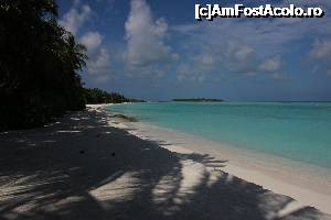 [P03]  -- <small>// FĂRĂ DESCRIERE</small> » foto by atimespeed
 - 
<span class="allrVoted glyphicon glyphicon-heart hidden" id="av702360"></span>
<a class="m-l-10 hidden" id="sv702360" onclick="voting_Foto_DelVot(,702360,1589)" role="button">șterge vot <span class="glyphicon glyphicon-remove"></span></a>
<a id="v9702360" class=" c-red"  onclick="voting_Foto_SetVot(702360)" role="button"><span class="glyphicon glyphicon-heart-empty"></span> <b>LIKE</b> = Votează poza</a> <img class="hidden"  id="f702360W9" src="/imagini/loader.gif" border="0" /><span class="AjErrMes hidden" id="e702360ErM"></span>