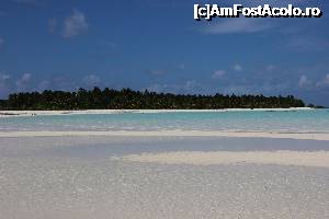 [P06]  -- <small>// FĂRĂ DESCRIERE</small> » foto by atimespeed
 - 
<span class="allrVoted glyphicon glyphicon-heart hidden" id="av702363"></span>
<a class="m-l-10 hidden" id="sv702363" onclick="voting_Foto_DelVot(,702363,1589)" role="button">șterge vot <span class="glyphicon glyphicon-remove"></span></a>
<a id="v9702363" class=" c-red"  onclick="voting_Foto_SetVot(702363)" role="button"><span class="glyphicon glyphicon-heart-empty"></span> <b>LIKE</b> = Votează poza</a> <img class="hidden"  id="f702363W9" src="/imagini/loader.gif" border="0" /><span class="AjErrMes hidden" id="e702363ErM"></span>