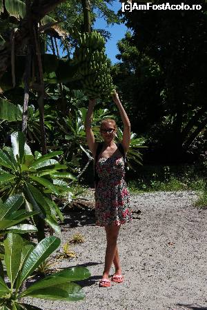 [P08] Plantatia de banane, absolut delicioase » foto by atimespeed
 - 
<span class="allrVoted glyphicon glyphicon-heart hidden" id="av702365"></span>
<a class="m-l-10 hidden" id="sv702365" onclick="voting_Foto_DelVot(,702365,1589)" role="button">șterge vot <span class="glyphicon glyphicon-remove"></span></a>
<a id="v9702365" class=" c-red"  onclick="voting_Foto_SetVot(702365)" role="button"><span class="glyphicon glyphicon-heart-empty"></span> <b>LIKE</b> = Votează poza</a> <img class="hidden"  id="f702365W9" src="/imagini/loader.gif" border="0" /><span class="AjErrMes hidden" id="e702365ErM"></span>