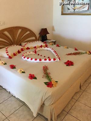 [P10] ???? » foto by Ynna
 - 
<span class="allrVoted glyphicon glyphicon-heart hidden" id="av654683"></span>
<a class="m-l-10 hidden" id="sv654683" onclick="voting_Foto_DelVot(,654683,1589)" role="button">șterge vot <span class="glyphicon glyphicon-remove"></span></a>
<a id="v9654683" class=" c-red"  onclick="voting_Foto_SetVot(654683)" role="button"><span class="glyphicon glyphicon-heart-empty"></span> <b>LIKE</b> = Votează poza</a> <img class="hidden"  id="f654683W9" src="/imagini/loader.gif" border="0" /><span class="AjErrMes hidden" id="e654683ErM"></span>