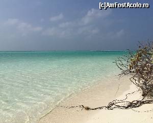 [P14] Toate pozele sunt facute cu telefonul si nu sunt editate » foto by Ynna
 - 
<span class="allrVoted glyphicon glyphicon-heart hidden" id="av654687"></span>
<a class="m-l-10 hidden" id="sv654687" onclick="voting_Foto_DelVot(,654687,1589)" role="button">șterge vot <span class="glyphicon glyphicon-remove"></span></a>
<a id="v9654687" class=" c-red"  onclick="voting_Foto_SetVot(654687)" role="button"><span class="glyphicon glyphicon-heart-empty"></span> <b>LIKE</b> = Votează poza</a> <img class="hidden"  id="f654687W9" src="/imagini/loader.gif" border="0" /><span class="AjErrMes hidden" id="e654687ErM"></span>