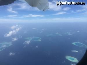 [P02]  -- <small>// FĂRĂ DESCRIERE</small> » foto by Ynna
 - 
<span class="allrVoted glyphicon glyphicon-heart hidden" id="av654669"></span>
<a class="m-l-10 hidden" id="sv654669" onclick="voting_Foto_DelVot(,654669,1589)" role="button">șterge vot <span class="glyphicon glyphicon-remove"></span></a>
<a id="v9654669" class=" c-red"  onclick="voting_Foto_SetVot(654669)" role="button"><span class="glyphicon glyphicon-heart-empty"></span> <b>LIKE</b> = Votează poza</a> <img class="hidden"  id="f654669W9" src="/imagini/loader.gif" border="0" /><span class="AjErrMes hidden" id="e654669ErM"></span>