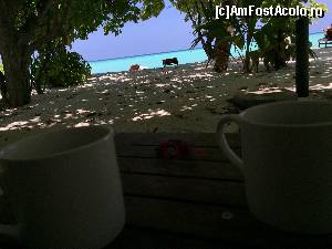 [P04] Cafeaua dimineata (poza nu este editata)  » foto by Ynna
 - 
<span class="allrVoted glyphicon glyphicon-heart hidden" id="av654675"></span>
<a class="m-l-10 hidden" id="sv654675" onclick="voting_Foto_DelVot(,654675,1589)" role="button">șterge vot <span class="glyphicon glyphicon-remove"></span></a>
<a id="v9654675" class=" c-red"  onclick="voting_Foto_SetVot(654675)" role="button"><span class="glyphicon glyphicon-heart-empty"></span> <b>LIKE</b> = Votează poza</a> <img class="hidden"  id="f654675W9" src="/imagini/loader.gif" border="0" /><span class="AjErrMes hidden" id="e654675ErM"></span>